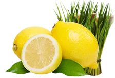 Amalgam Foods: India’s Food Processing Pioneer with Quality-Driven Product Expertise