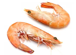 Amalgam Foods for Processed Food, Frozen Ingredients, and Institutional Food Solutions