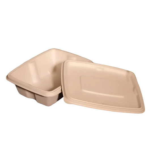 Bagasse Containers