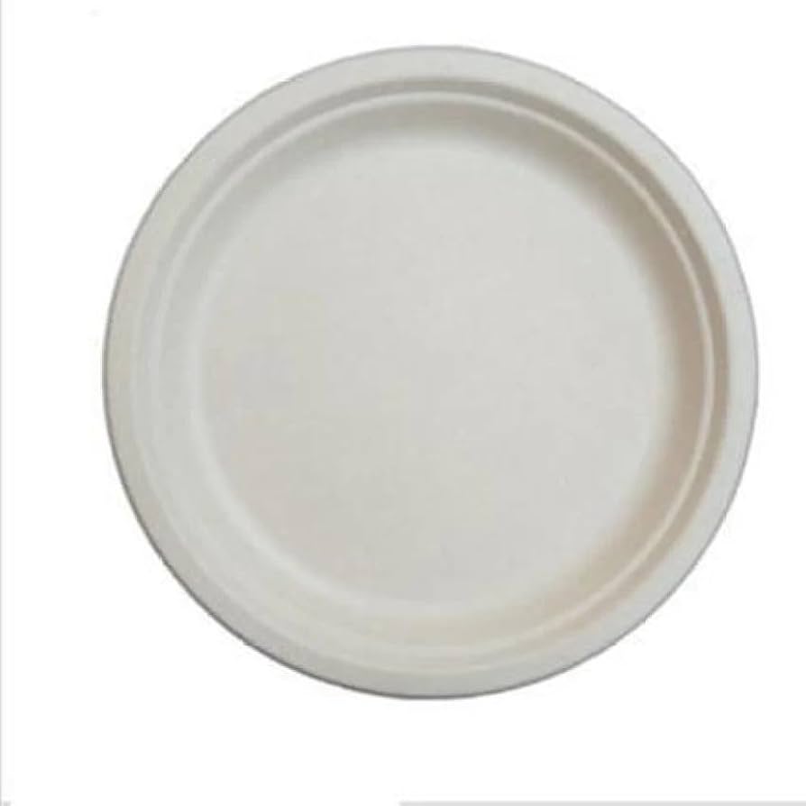 Disposable Tableware