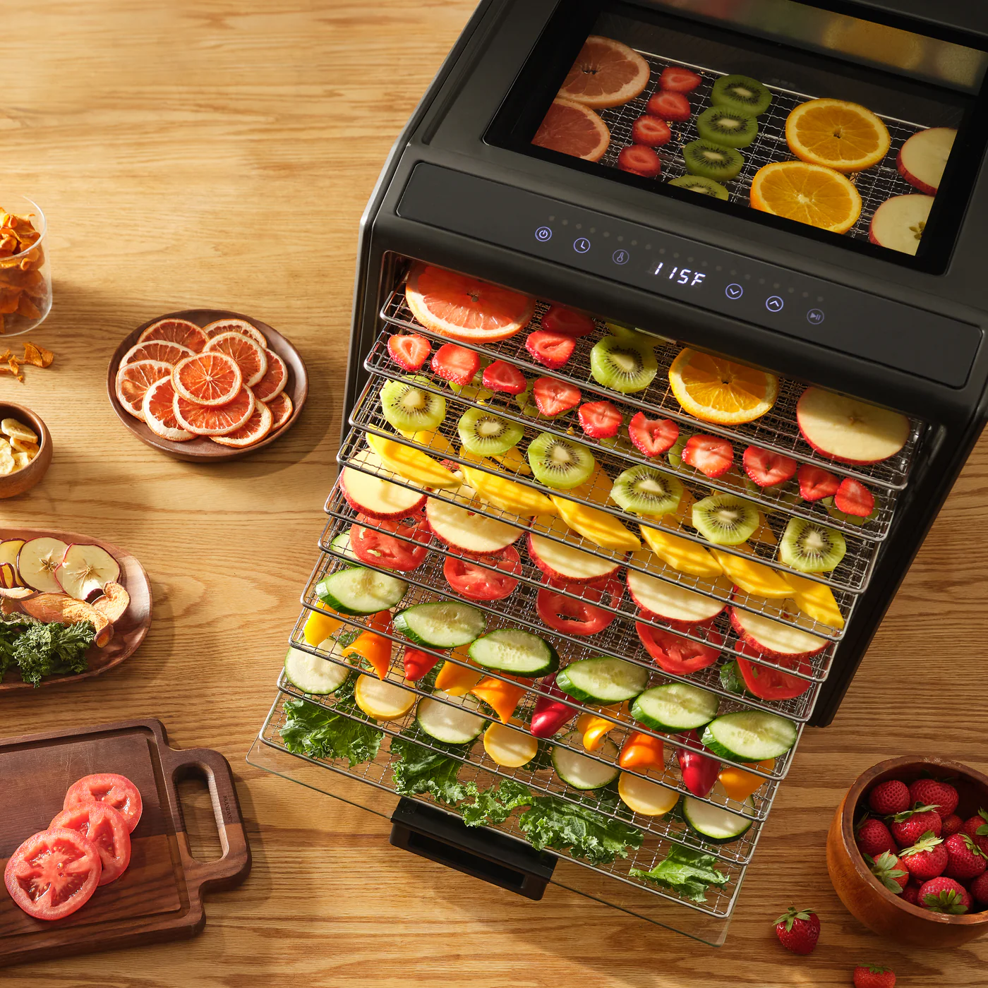 Excalibur 10 Tray Performance Digital Dehydrator, in Stainless Steel REDE10TP