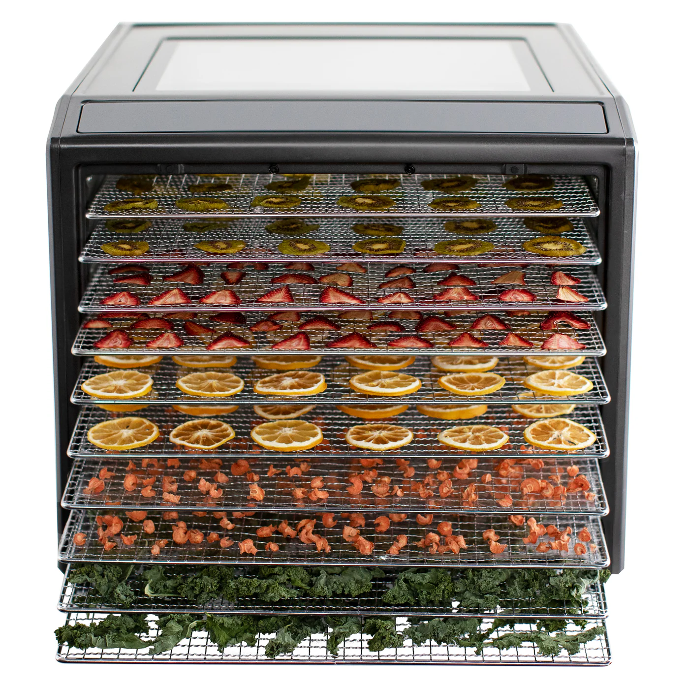 Excalibur 10 Tray Performance Digital Dehydrator, in Stainless Steel REDE10TP 4