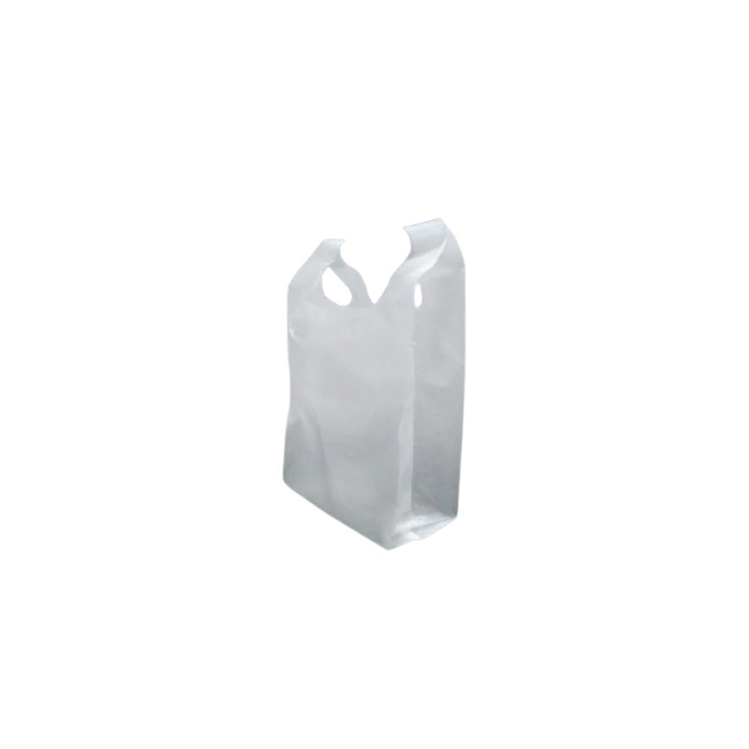 Non Woven Bag | 16 x 20 inches, 60 GSM