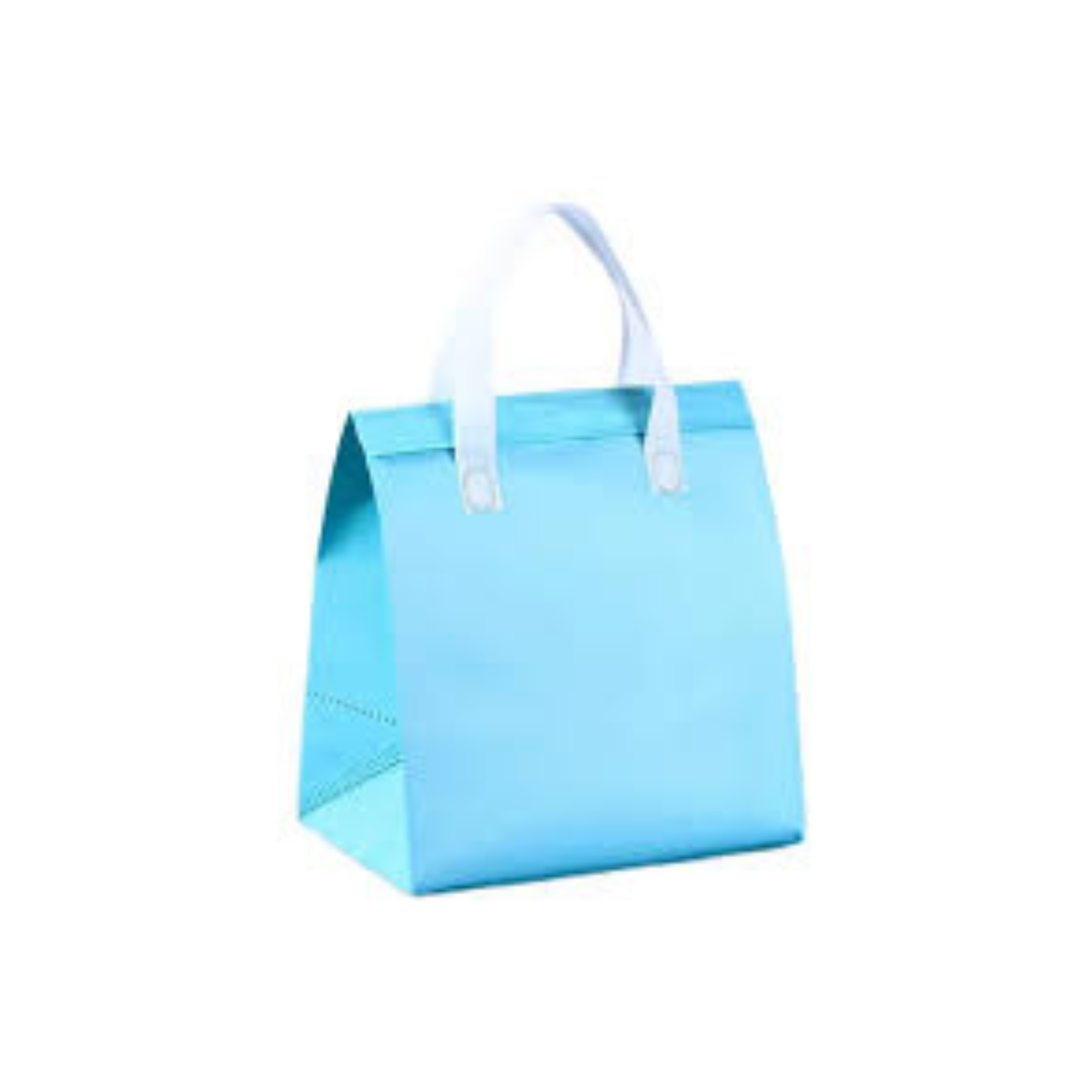 Ice Cream and Food Takeaway Bag 3