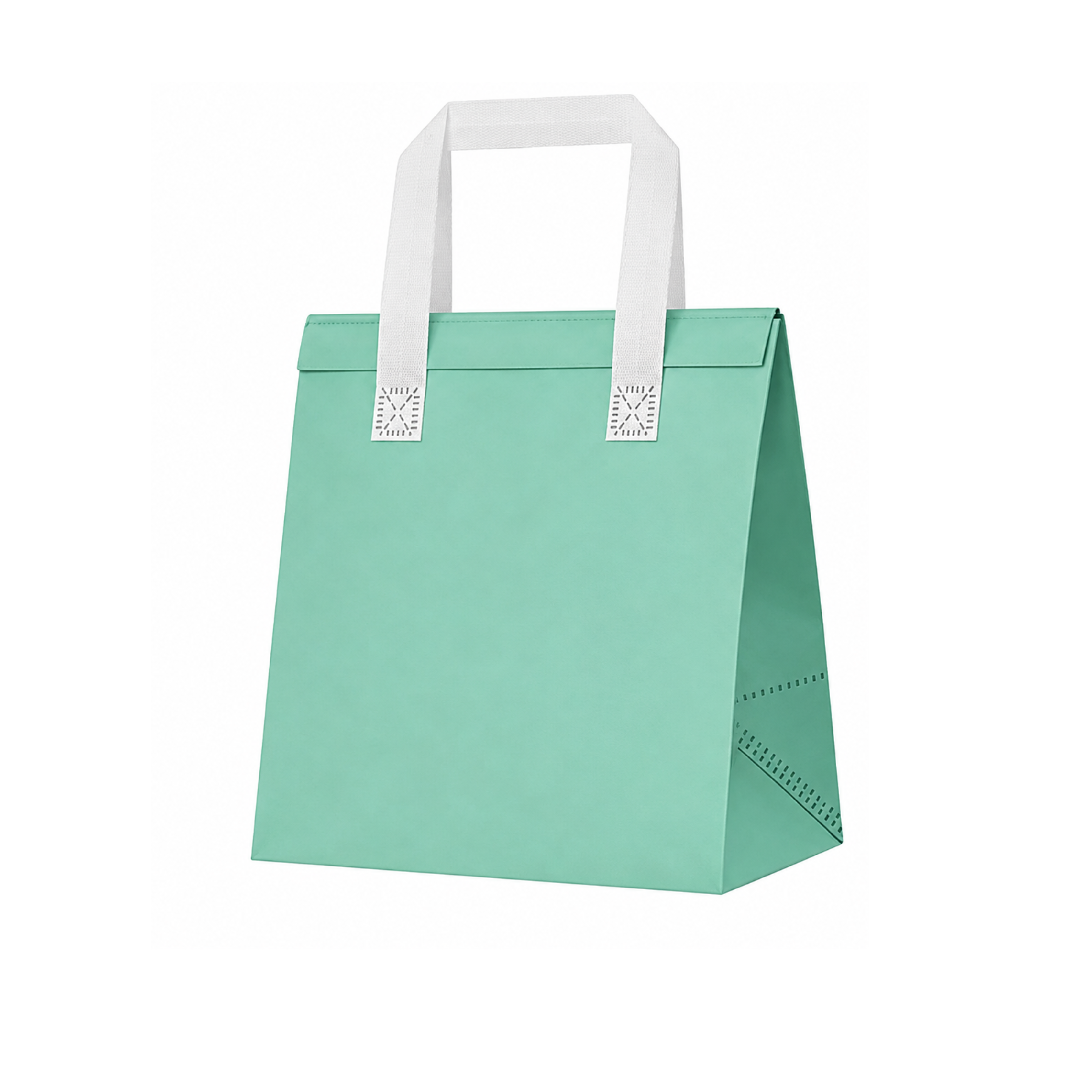 Ice Cream and Food Takeaway Bag 2