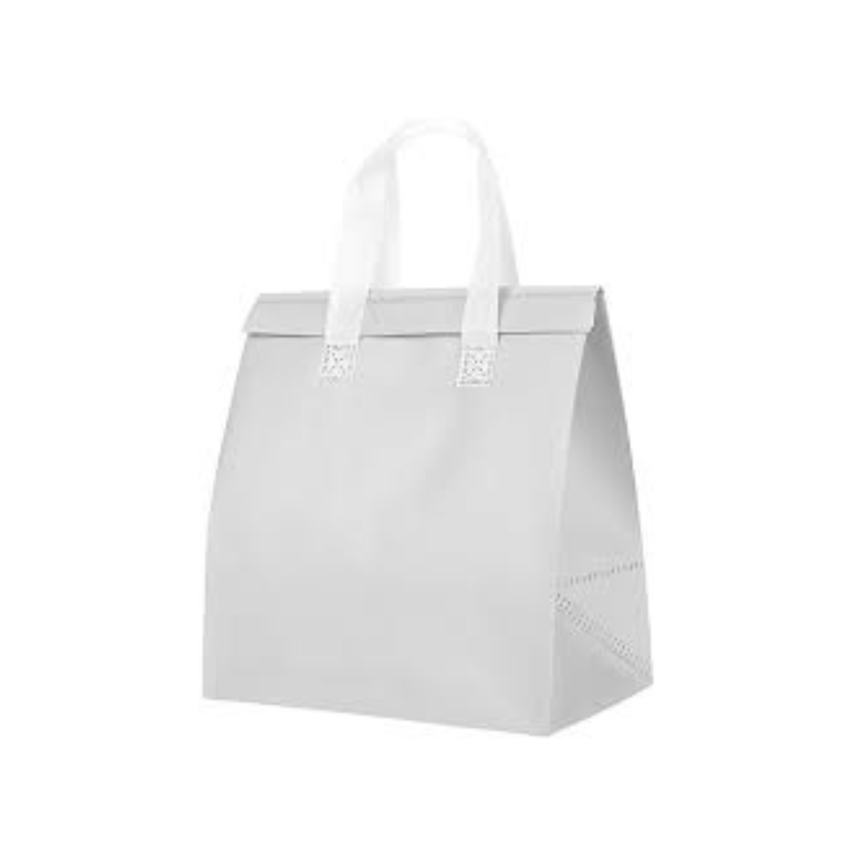 Ice Cream and Food Takeaway Bag