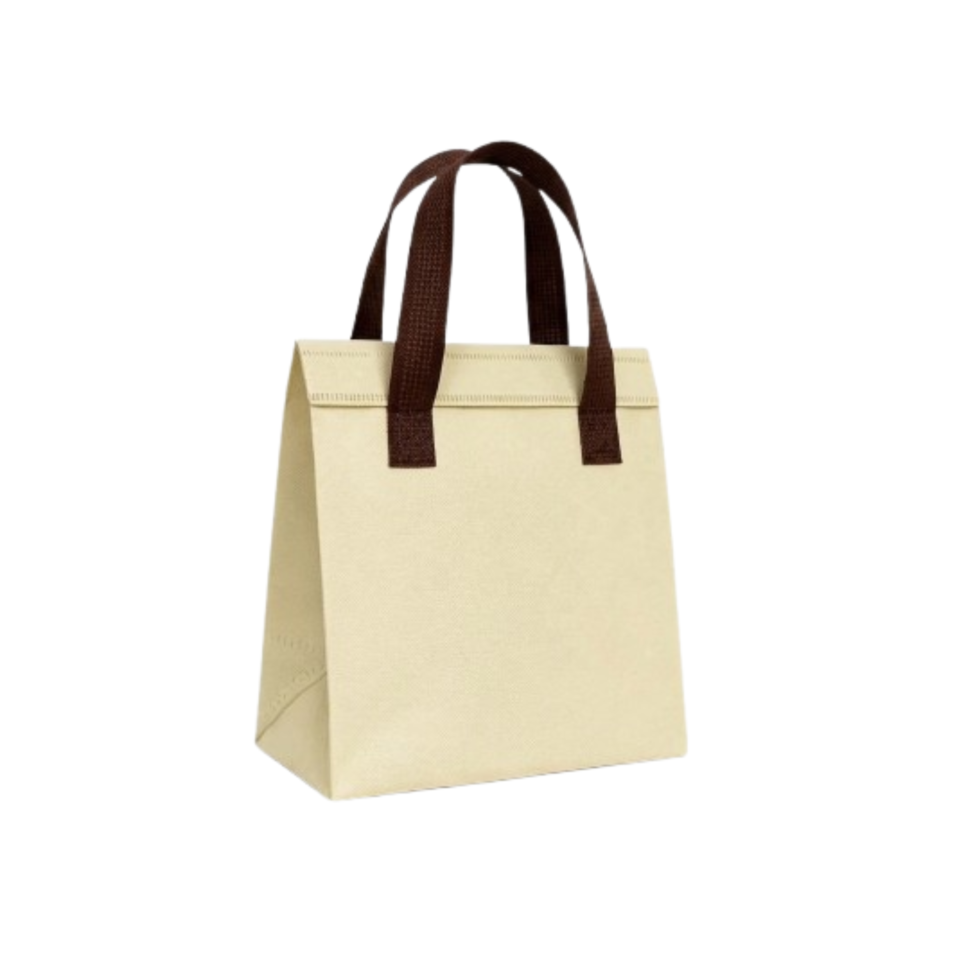 Ice Cream and Food Takeaway Bag 7