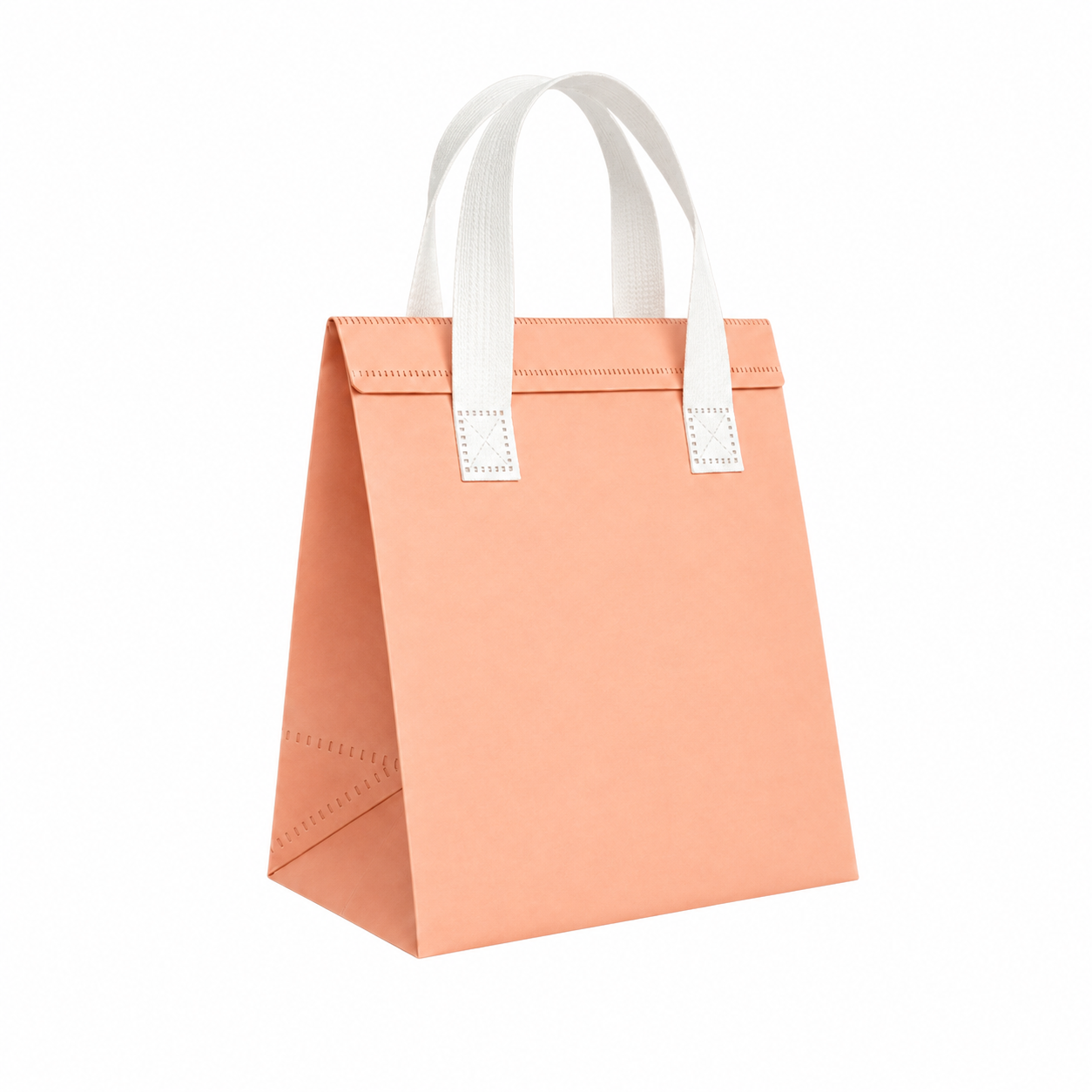 Ice Cream and Food Takeaway Bag 5