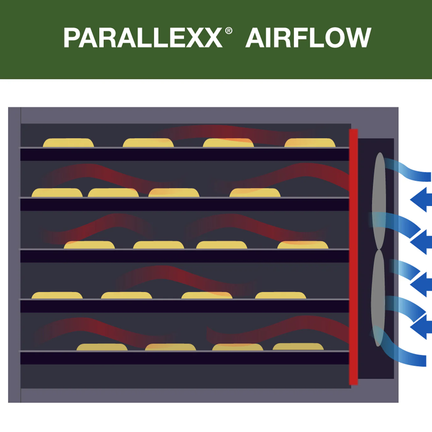 Excalibur 4-Tray Food Dehydrator – Compact Drying Space 44002200 4