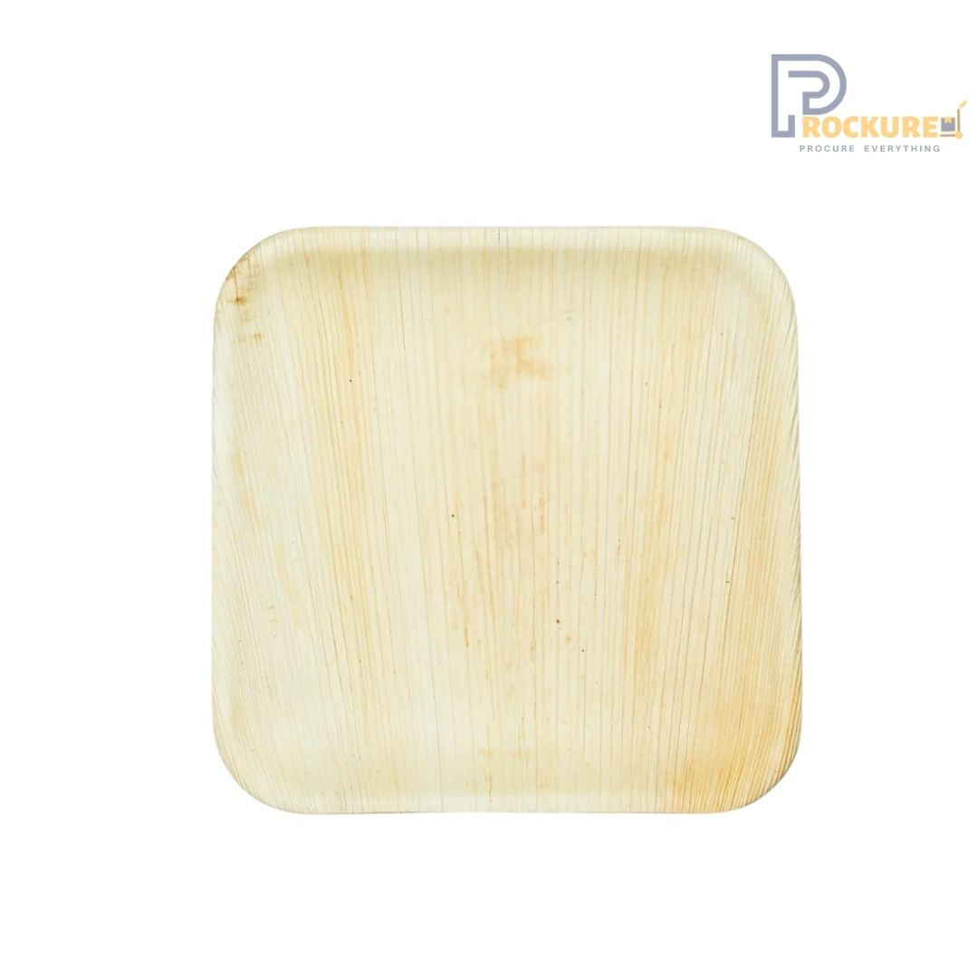 Areca Leaf 9 Inch Square Plate