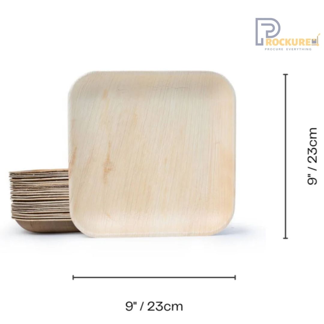 Areca Leaf 9 Inch Square Plate