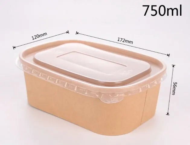 Rectangle Kraft Paper Takeaway Container with Clear PP Lid 2