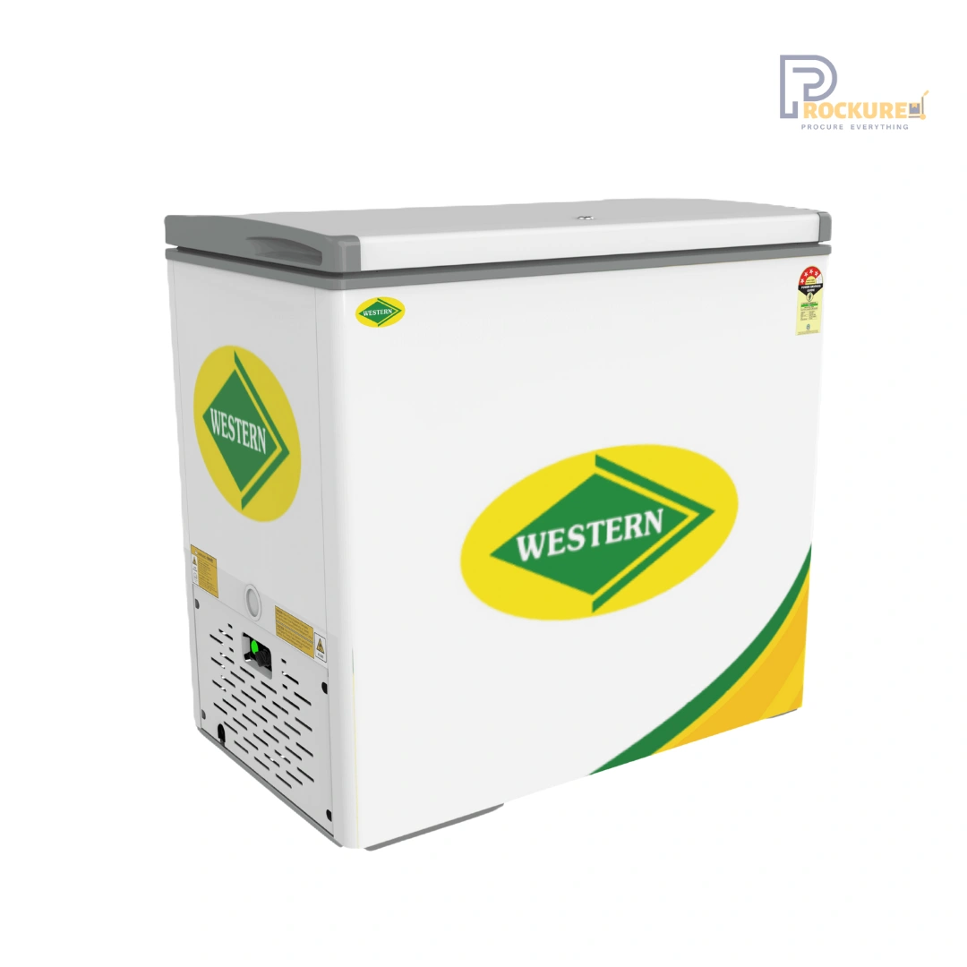 Western D300H124 220L Commercial Freezer – Dual Power, Tropical Design, Roller Mobility