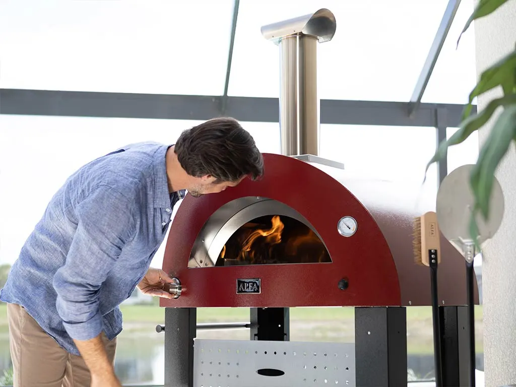 Alfa Forni Moderno Hybrid Gas & Wood Fired Pizza Oven 2 Pizza 60 x 50 cm 6