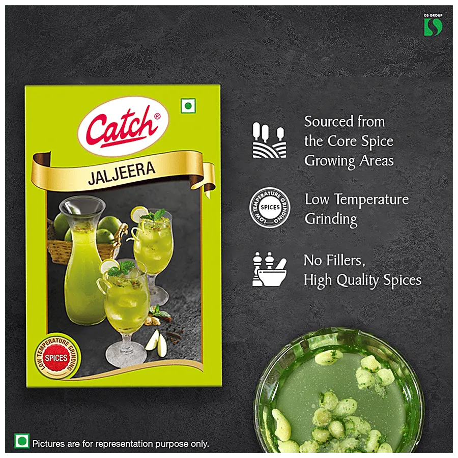 Catch Jaljeera Masala 100 gm 2