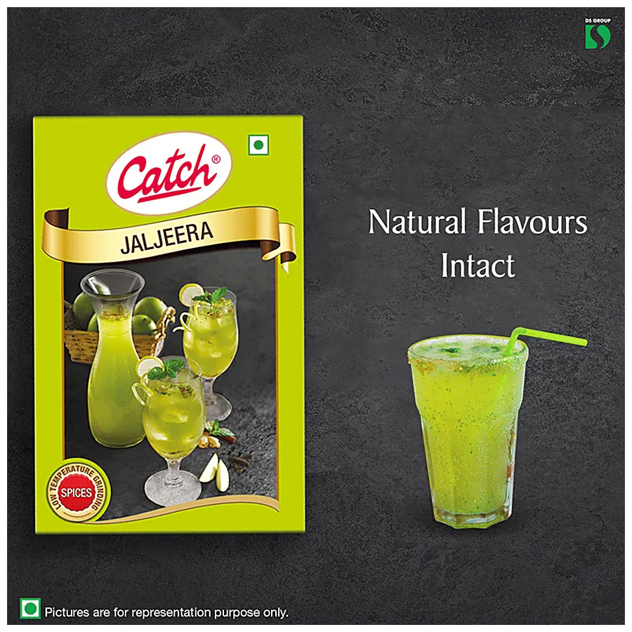 Catch Jaljeera Masala 100 gm