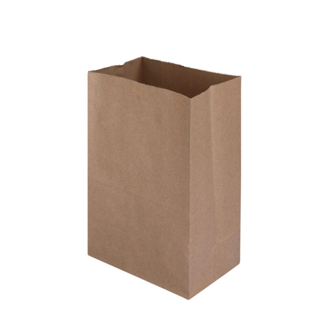 Kraft Brown Square Bottom Paper Bag | 21 x 12 x 31cm | 60 GSM